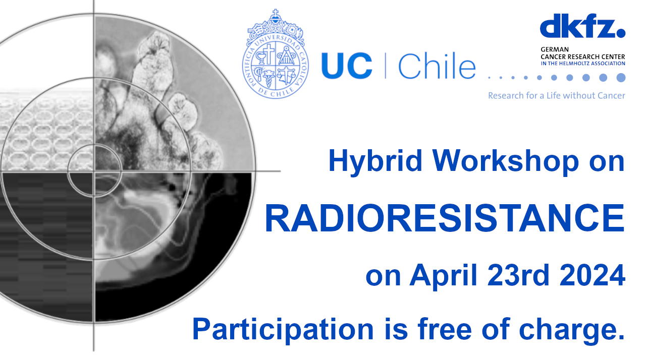 Hybrid Workshop 2024 in Chile on 